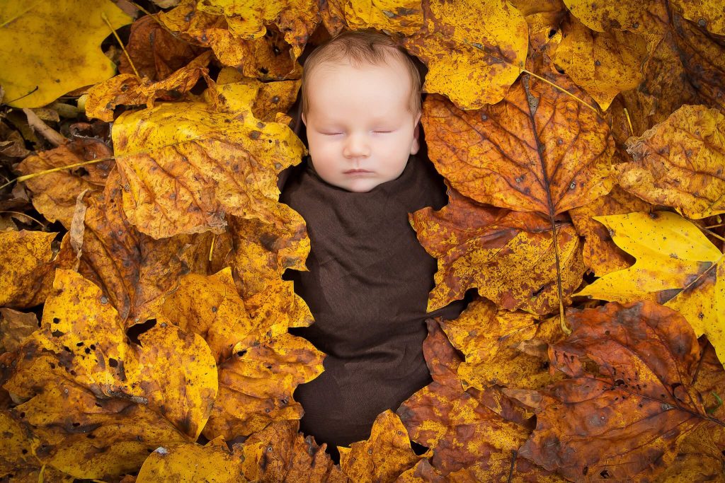 Ребенок родился в октябре. Дети в осенней листве. Листья для детей. Осенние листья для детей. Младенец в осенних листьях.